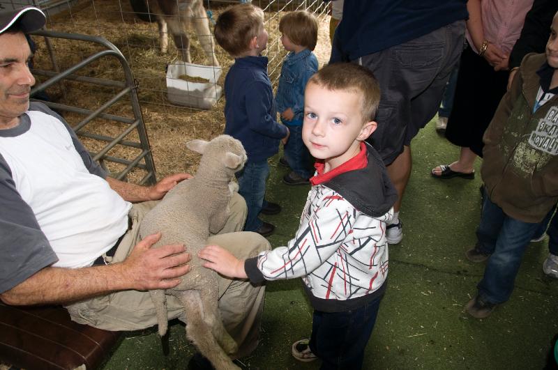 geelong show 08_2.jpg